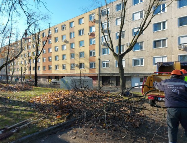 Megkezdődtek a Korányi Frigyes utcán a faápolási és gallyazási munkák