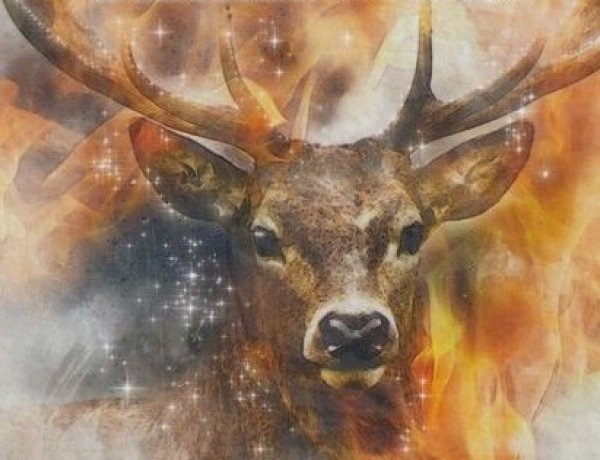 Tárih-i Üngürüsz - A magyarok ősgesztája című kötet bemutatója a Móricz Zsigmond könyvtárban