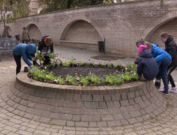 Sikeres az Ökosuli Program – Fiatal korban kezdődik a környezettudatos nevelés