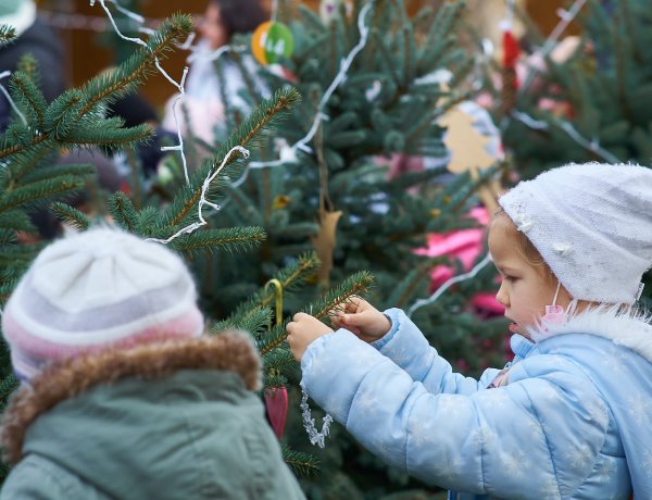 Kis Karácsony Sétány – Óvodások díszítették a fenyőket a Kossuth téren