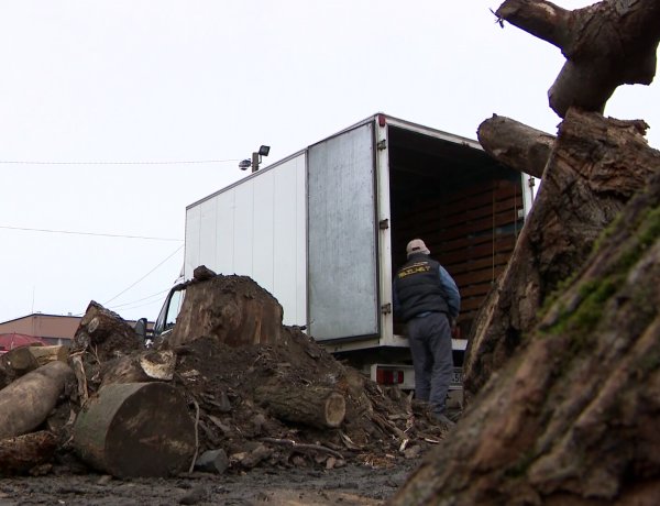 Szociális tűzifa – December elsején indul a program Nyíregyházán