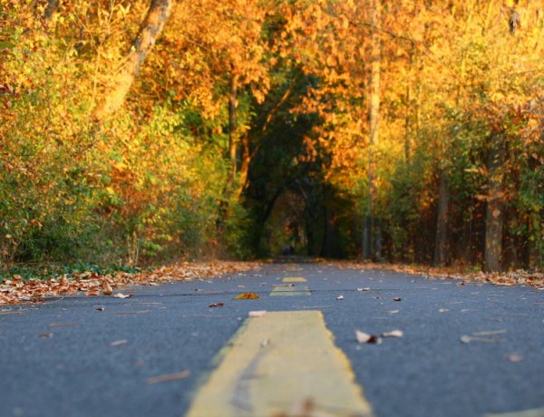 Lesz itt minden – Trükkös időjárással búcsúzik a november