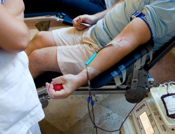 Véradásra és plazmaadásra kér a vérellátó szolgálat