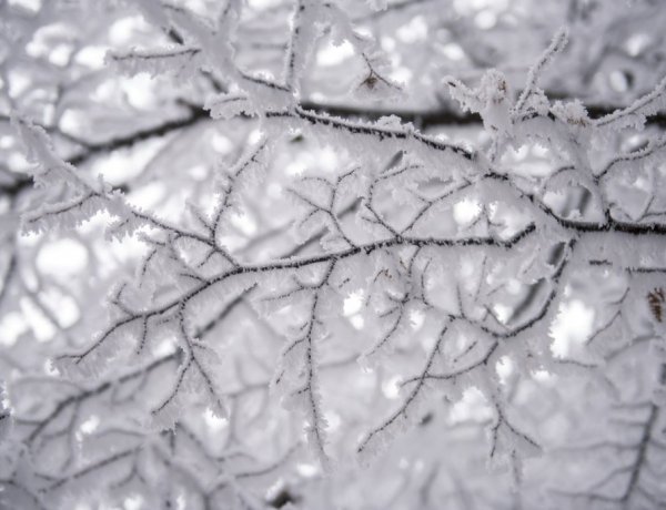 Néhol hó is hullhat, de egyre többfelé süt ki a nap