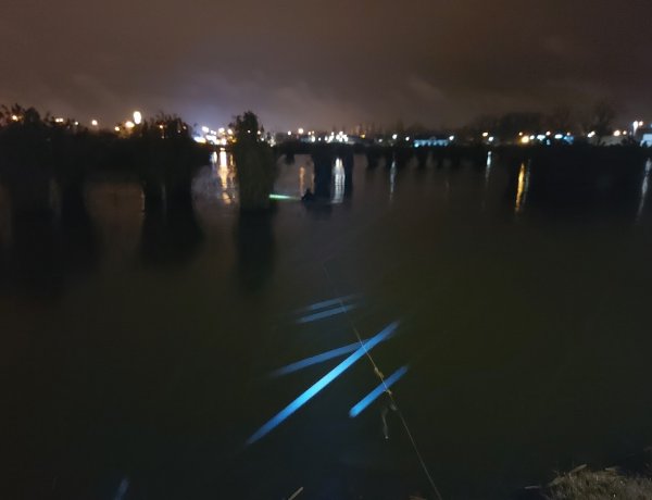  Búvárfelszerelés és hőkamera segítségével kerestek a speciális mentők egy csapdában rekedt vadkacsát