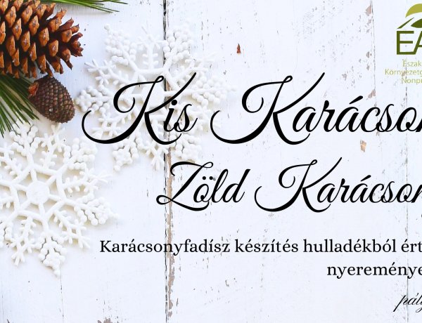 Kis Karácsony Zöld Karácsony – Karácsonyfadísz készítés hulladékból értékes ajándékokért pályázat 