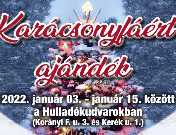 Karácsonyfáért ajándék