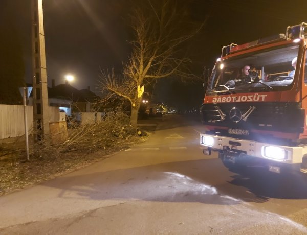 A Dugonics utcán egy teherautó leszakított egy ágat, amely a villamos vezetéket is magával húzta