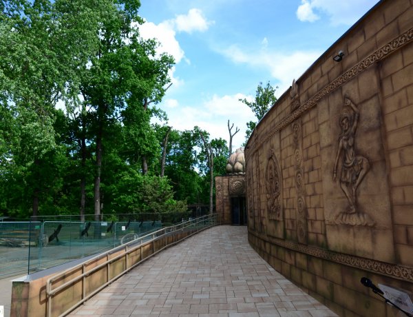 A Nyíregyházi Állatpark minden évben újdonsággal szolgál az ide érkezőknek: bemutatjuk az India-házat