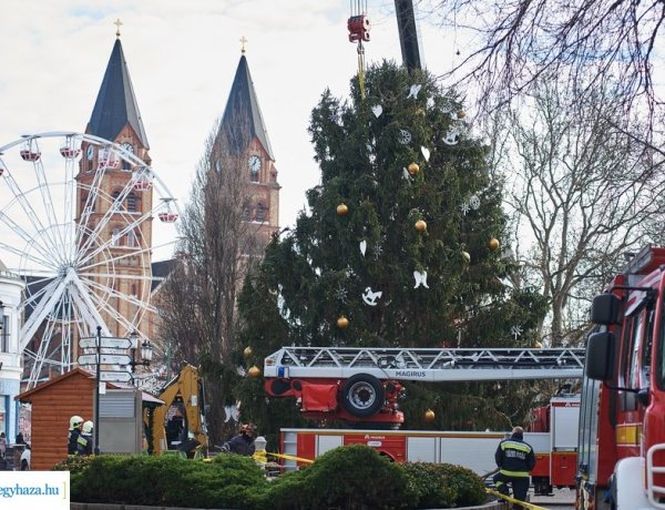 Kedd délben újra helyére került a város karácsonyfája