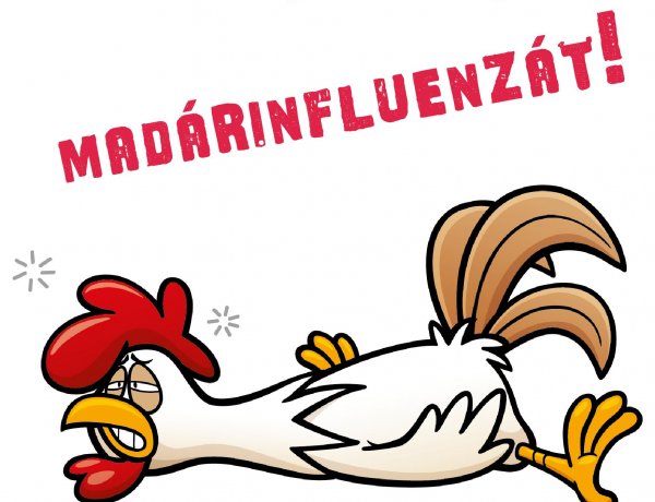 Madárinfluenza vírus elleni védekezéssel kapcsolatos lakossági tájékoztatás 
