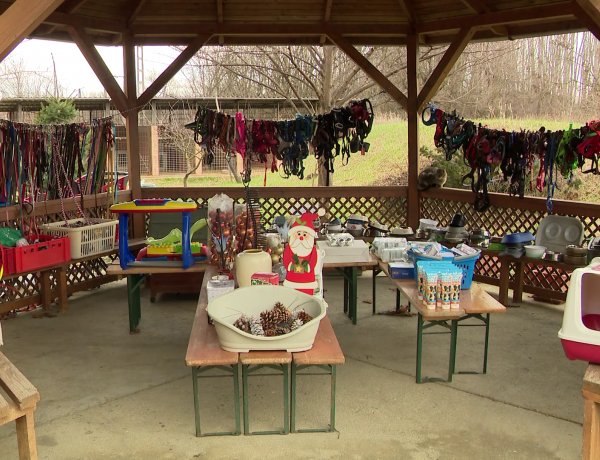 Karácsonyi bazár várja az érdeklődőket az Állatbarát Alapítvány Csatorna utcai telephelyén