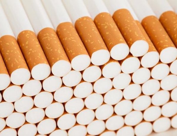 Bobi kiszagolta az elrejtett cigit