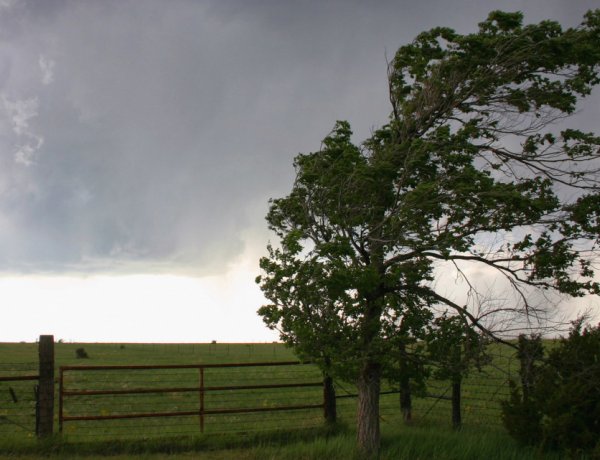 Felhőátvonulás mellett erős széllökésekre számíthatunk