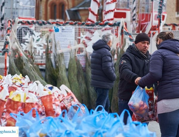 Jótékonyság – Karácsonyfa, szaloncukor, tartós élelmiszer és élmények ajándékba