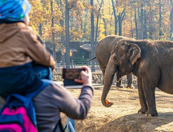 Megérkezett a Nyíregyházi Állatpark születésnapi ajándéka 