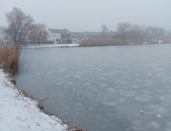 Vékony jégréteg – Továbbra is tilos és életveszélyes a város befagyott tavain tartózkodni