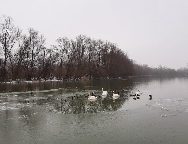 Országos Meteorológiai Szolgálat: szégyenlősen bújkál előlünk a napocska