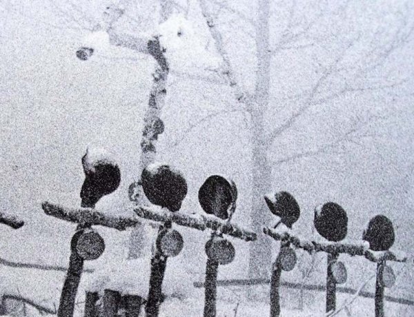 Tisztelet a hősöknek! - A doni katasztrófa áldozataira emlékeznek Oroson