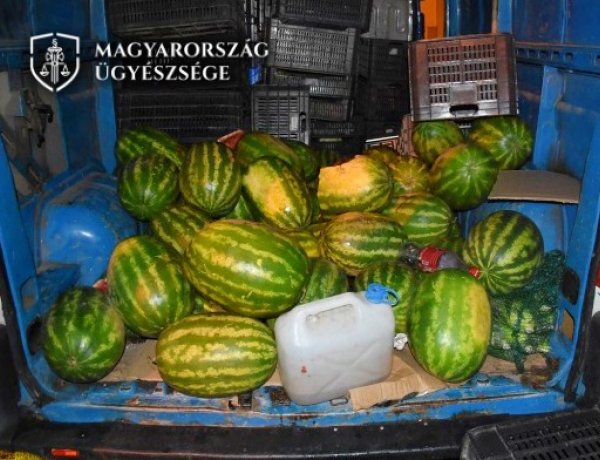 Szabolcs-Szatmár-Bereg Megyei Főügyészség: dinnyéket dobált