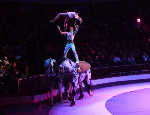 Monte-Carlo helyett Budapest lesz 2022-ben a cirkusz fővárosa