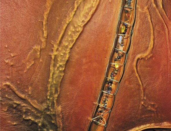 „Gondolatok bőrkötésben" - Zajácz Tamás bőrműves iparművész kiállítása 