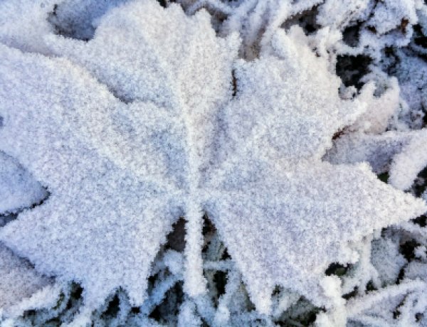 Fagyos reggelre ébredtünk és napokig megmarad a hideg