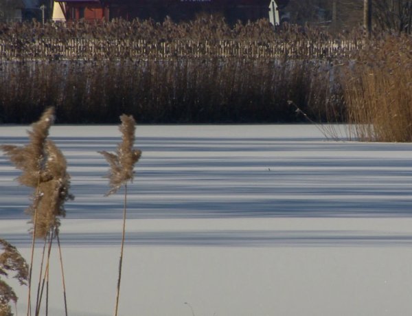 Jégre lépni tilos! – Sem a Sóstói-tó, sem a Bujtosi-tó jege nem alkalmas korcsolyázásra