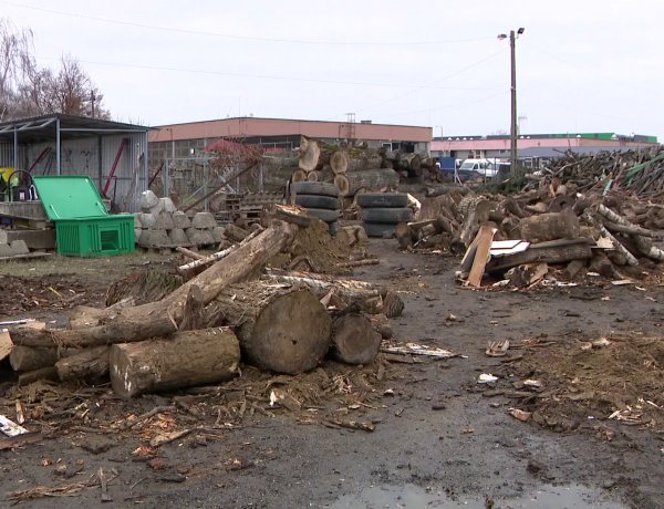 Még tart a szociális tűzifaprogram – Eddig 550 családnak tudott segíteni az önkormányzat