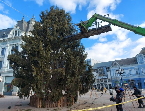 Megkezdődött a város karácsonyfájának eltávolítása