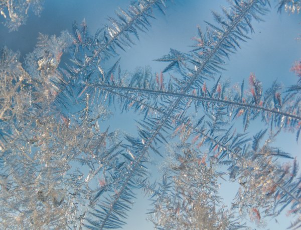 Az éjjel megérkezett a farkasordító hideg, akár -7 fok is várható