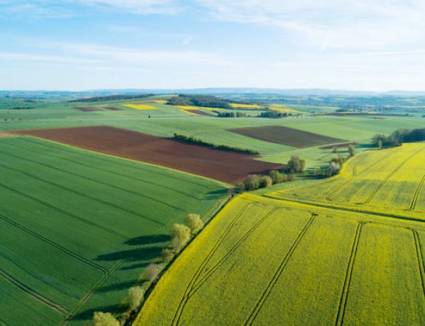 Új szabályok jönnek a termőföld öröklésénél
