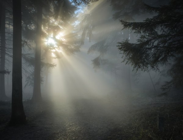 Ez a nap sötétebb lesz, mint szeretnénk