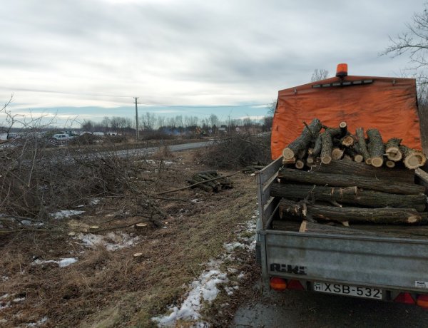Gallyázási és faápolási munkát végez a Magyar Közút Nyíregyháza és Nyírtura között