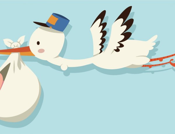 Malajkát és Mézit igen, Édent és Meleket viszont nem támogatták anyakönyveztetésre