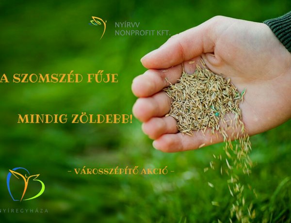 A szomszéd fűje mindig zöldebb! – Városszépítő akció Nyíregyházán