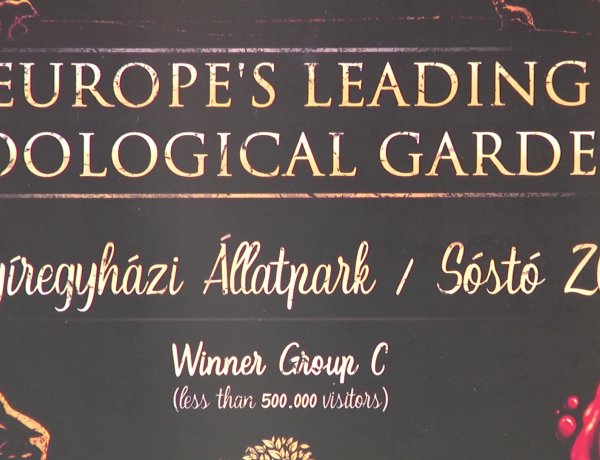 Elismerés – Ismét a nyíregyházi Európa legjobb állatkertje