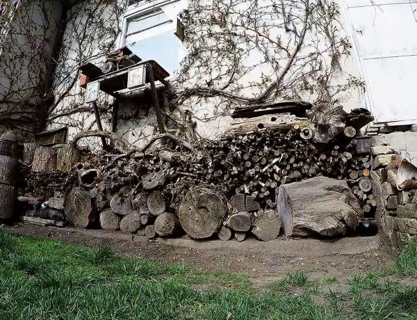 Méhecskehotel – Ezzel az eszközzel is segíthetjük a beporzó rovarok gyarapodását