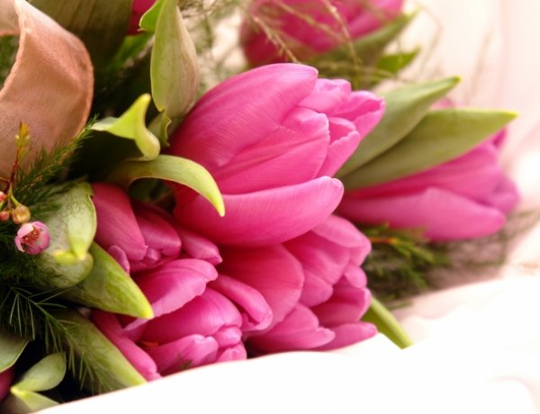 Városi Nőnap sztárvendégekkel, a Continental Arénában 