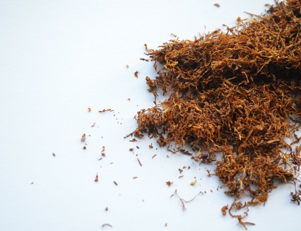 Húszmillió forintot érő dohány Nyíregyházán