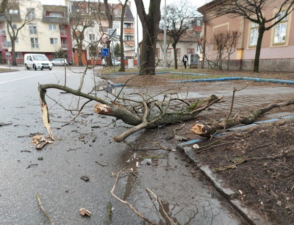 A viharos szél több helyen is károkat okozott Nyíregyházán