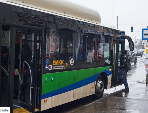 Díjmentes autóbusz különjáratok február 19-én a IV. Nyírségi Disznótoros Fesztivál és XX. Nemzetközi Böllérverseny alkalmából 