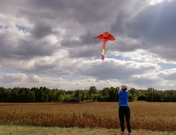 Viharos szélre figyelmeztet a meteorológia