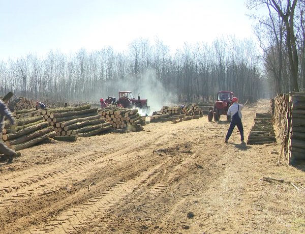 Sikeresen zárult a Szociális Tüzelőanyag Program