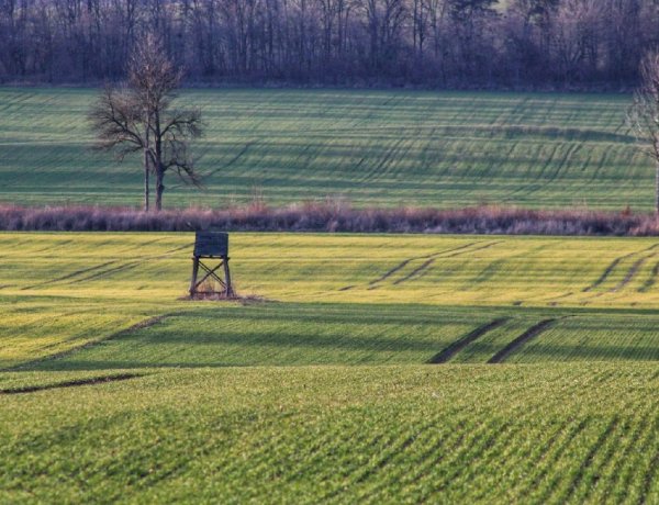 Több órára is kisüt a nap, mielőtt megérkezne az eső