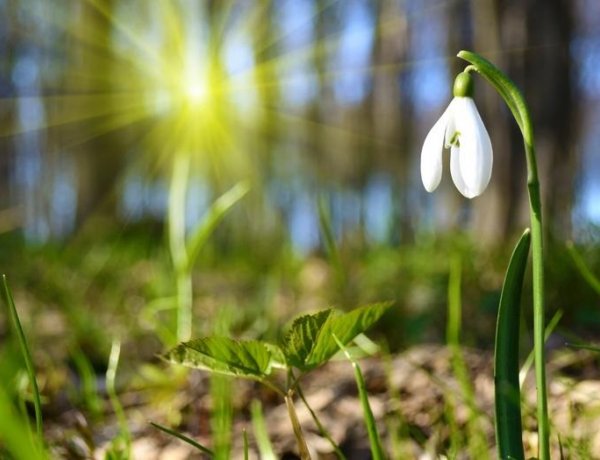 Kedden beköszönt a tavasz, legalábbis a naptár szerint