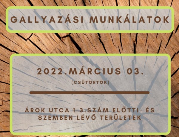Gallyazási munkálatokat végez a NYÍRVV március 3-án az Árok utcán