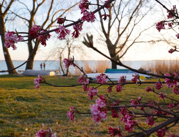 A hamisítatlan tavaszi idő még várat magára