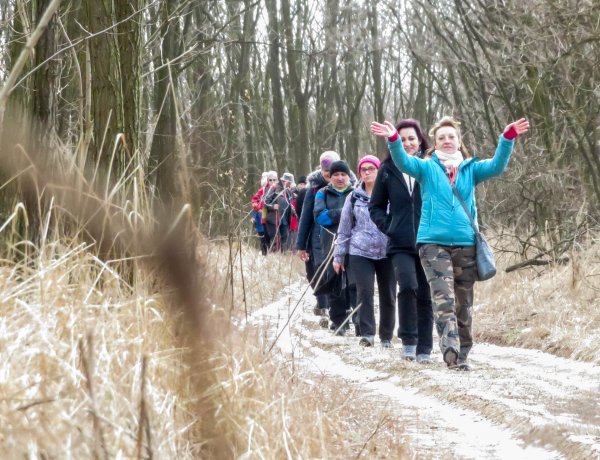  Nőnapi séta az esti erdőben a Zöld Kerék Alapítvánnyal