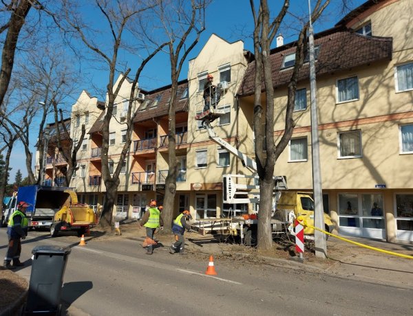 Faápolási munkálatokat végzett a NYÍRVV az Árok utcában